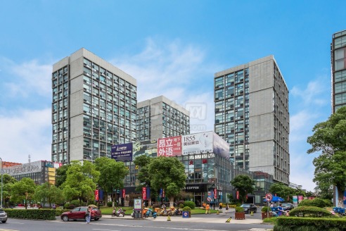 大华虎城第三空间 单层56平 精装朝南 随时入住—上海宝山区办公室